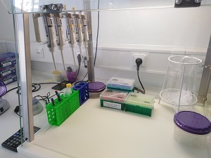 PCR set-up box