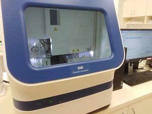 ABI3500 - capillary sequencer for Sanger sequencing