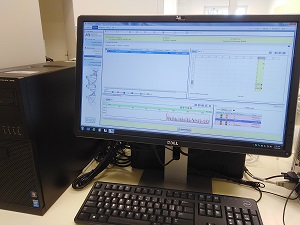 Sanger sequencing - raw data on the PC