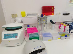 This is how the lab bench looks like